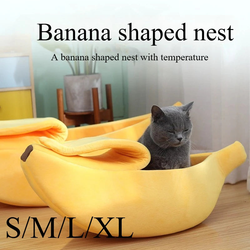 BananaNest Lounge image 2