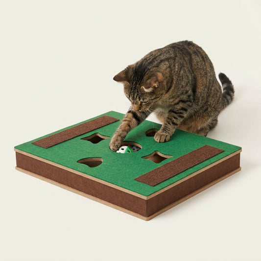PurrMaze Studio